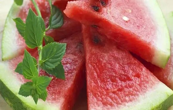 تصویر 4 از خرید هندوانه صادراتی شیراز + قیمت فروش استثنایی